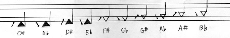 The "black-key" notes in TwinNote as sharps and flats